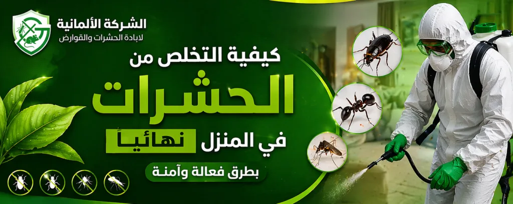 كيفية التخلص من الحشرات في المنزل نهائيًا