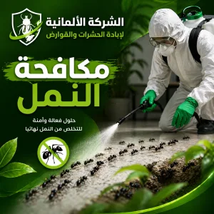 مكافحة النمل 01001004930